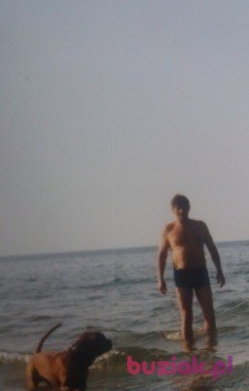 Andrzej, Mężczyzna, 69, Warszawa, Polska, Zdjęcie: 3
