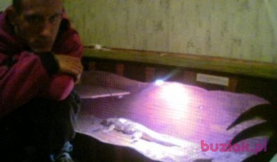 omegus, Male, 40, Kędzierzyn-Koźle, Polska, Photo: 1