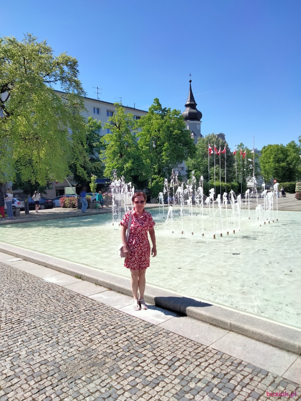 Anna, Kobieta, 52, Zielona Góra, Polska, Zdjęcie: 4