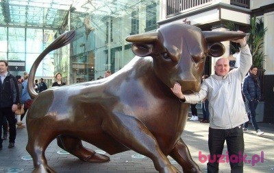 wojtek, Mężczyzna, 58, Shrewsbury, Wielka Brytania, Zdjęcie: 3