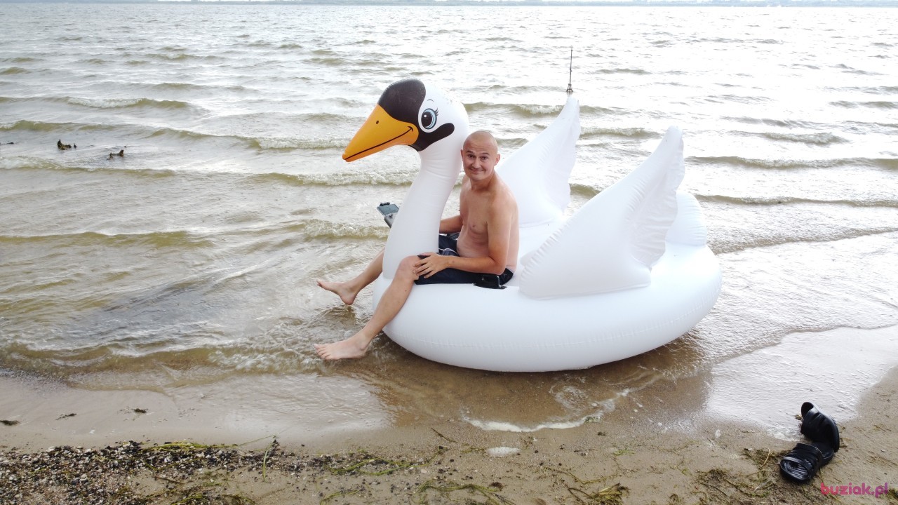 Michał, Mężczyzna, 36, Zgierz, Polska, Zdjęcie: 522