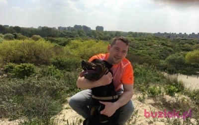 Mateusz, Mężczyzna, 34, Rotterdam South Holland Province, Holandia, Zdjęcie: 2