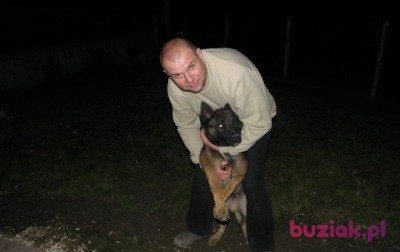 marius, Male, 50, Blagnac Haute Garonne Midi Pyrenees, Francja, Photo: 2