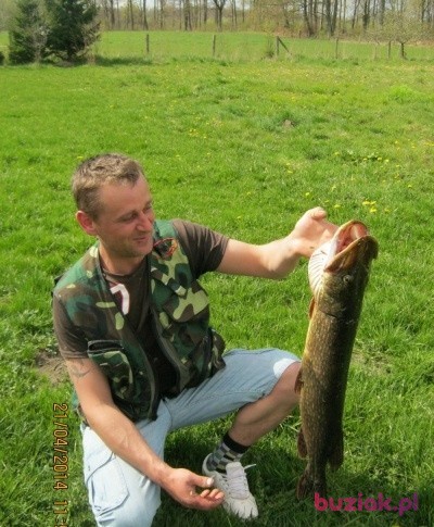 irek, Mężczyzna, 41, Słupsk, Polska, Zdjęcie: 1