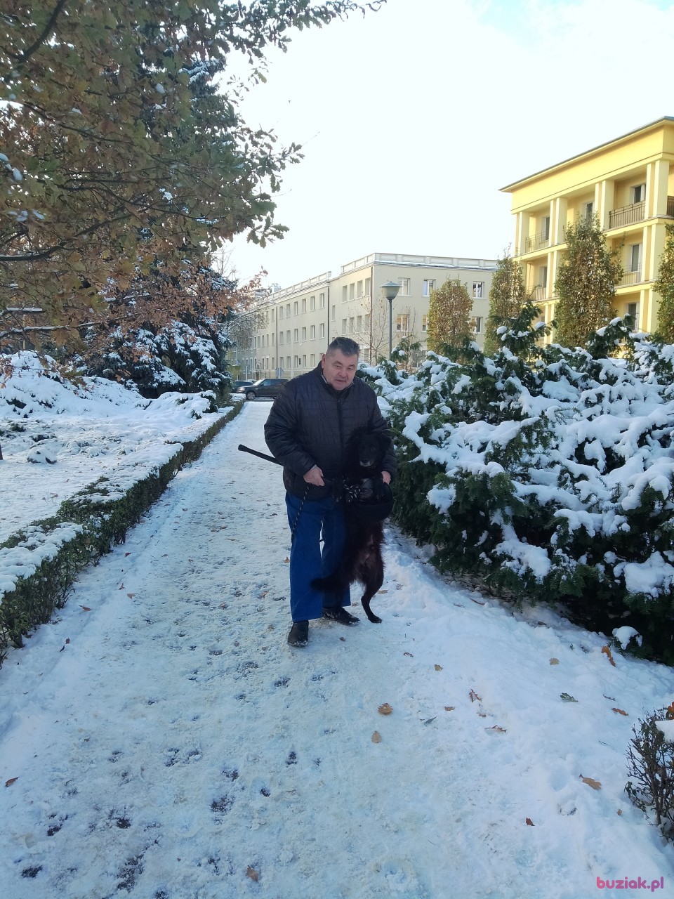 Grzegorz, Male, 65, Rzeszów, Polska, Photo: 6