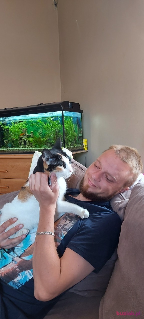 Damian, Male, 33, Żary, Polska: 1