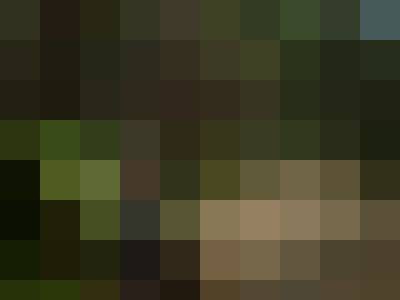 Coffeja, Male, 48, Wrocław, Polska: 1
