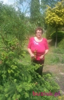 Irena, Female, 70, Polska, Photo: 5