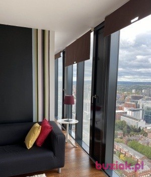 handsome1-1, Mężczyzna, 40, Manchester, Wielka Brytania, Zdjęcie: 7