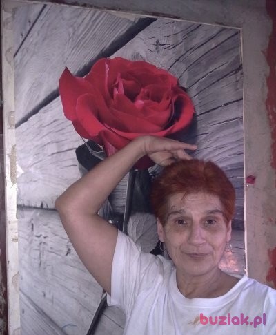 iwona, Kobieta, 65, Poznań, Polska: 1