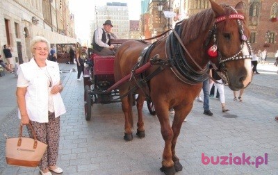 Aleksandra, Kobieta, 73, Wrocław, Polska, Zdjęcie: 7