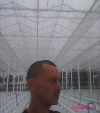 Sebastian, Male, 37, Tomaszów Lubelski, Polska: 1