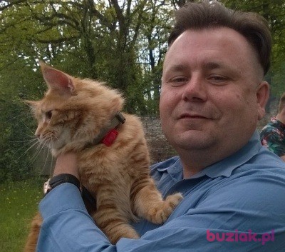 Mark, Mężczyzna, 46, Łódź, Polska, Zdjęcie: 7