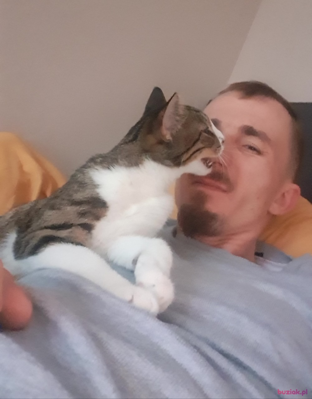 Kamil, Male, 33, Biała Podlaska, Polska, Photo: 1