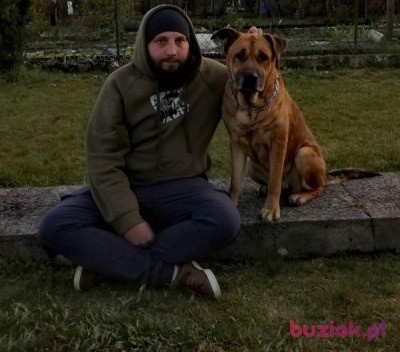 Patryk, Male, 35, Tychy, Polska, Photo: 3