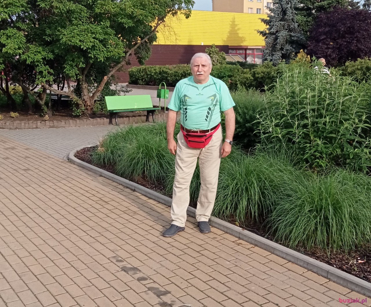 wlodzimierz, Mężczyzna, 69, Toruń, Polska, Zdjęcie: 1