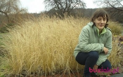 Grażyna, Kobieta, 42, Siemianowice Śląskie, Polska, Zdjęcie: 1