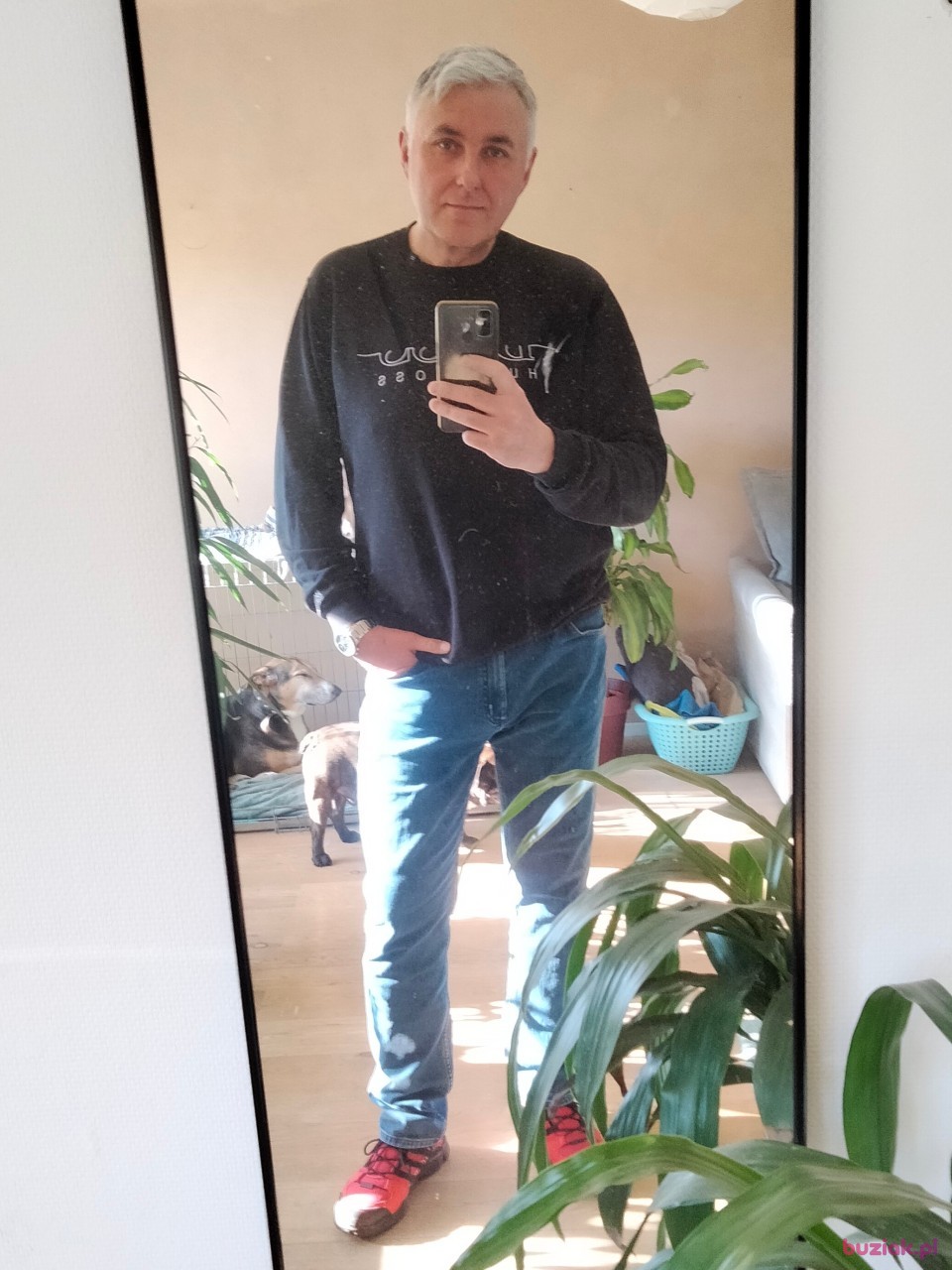 Przemek, Mężczyzna, 51, Rotterdam South Holland Province, Holandia, Zdjęcie: 4