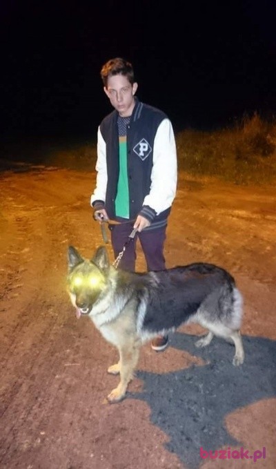 Dawid, Mężczyzna, 26, Wejherowo, Polska: 1