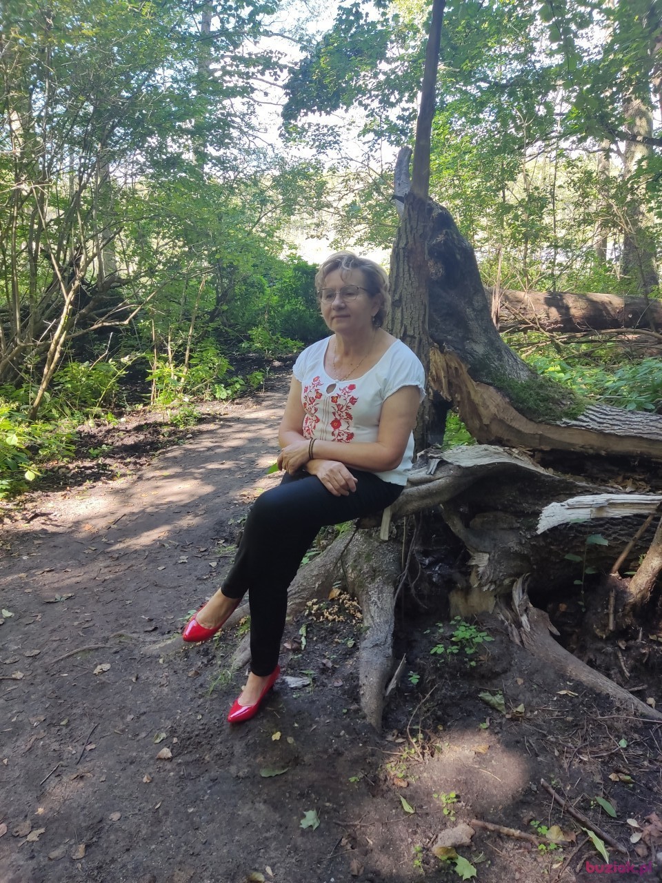 Elzbieta, Kobieta, 69, Konin, Polska, Zdjęcie: 1