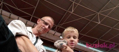 Iwo, Male, 45, Wielka Brytania, Photo: 3