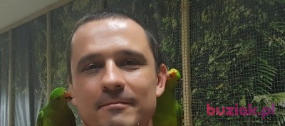 Sebastian, Mężczyzna, 40, Kraków, Polska, Zdjęcie: 1
