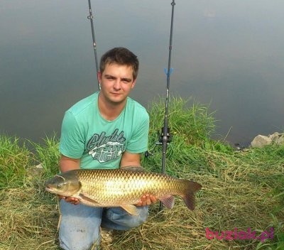 mkula13, Mężczyzna, 31, Dąbrowa Tarnowska, Polska: 1