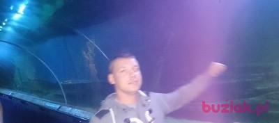 Dawid , Male, 39, Wielka Brytania, Photo: 1