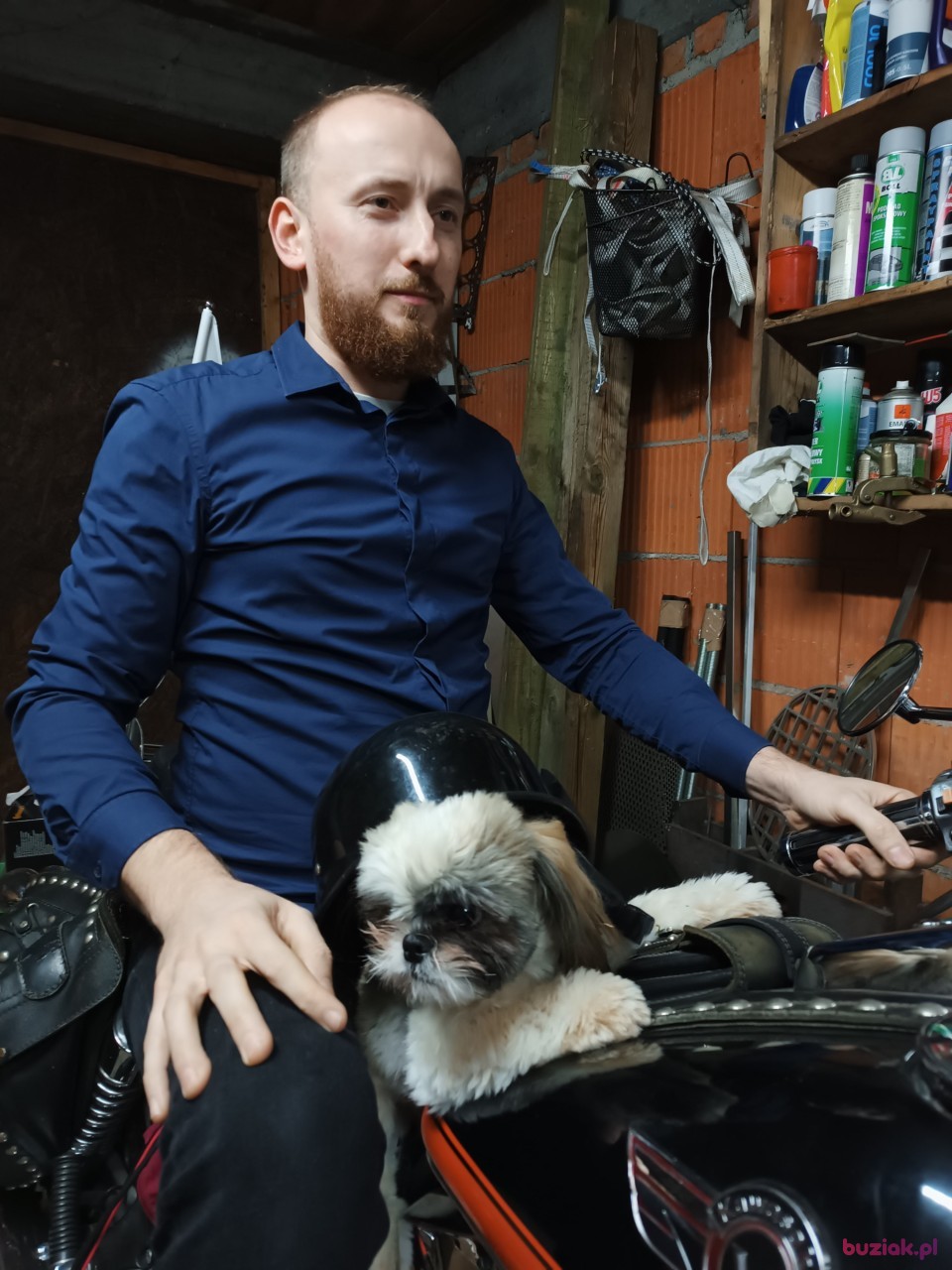Michal, Mężczyzna, 32, Toruń, Polska, Zdjęcie: 2