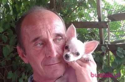 Andrzej, Mężczyzna, 63, Oleśnica, Polska: 1