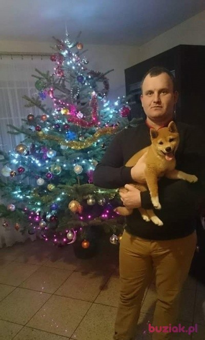 Rafał, Male, 35, Żychlin, Polska, Photo: 1