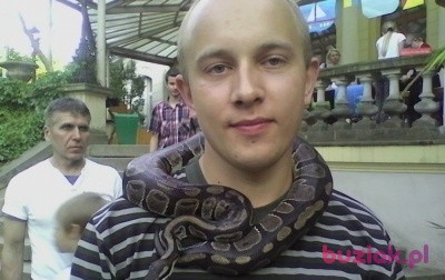 Karol, Male, 30, Kudowa Zdrój, Polska, Photo: 1