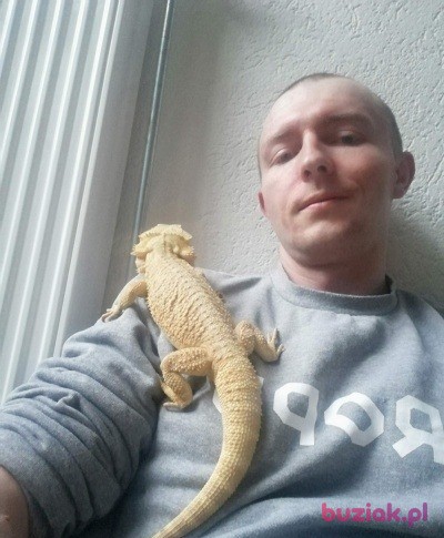 Sebastian, Mężczyzna, 36, Rotterdam South Holland Province, Holandia, Zdjęcie: 2