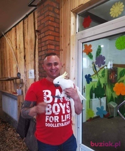 Jankes, Mężczyzna, 41, Gniezno, Polska, Zdjęcie: 3