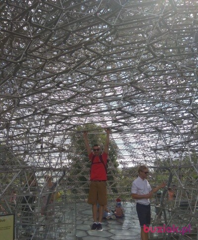 Rafal, Male, 36, Wielka Brytania, Photo: 4