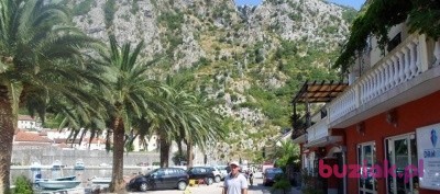 Łukasz, Mężczyzna, 39, Zamość, Polska: 1