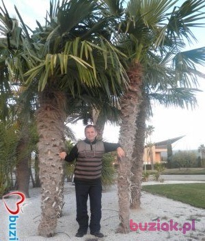 Stanisław, Male, 68, Legnica, Polska, Photo: 4