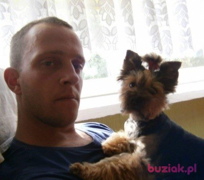Sebastian, Mężczyzna, 39, Inowrocław, Polska, Zdjęcie: 4