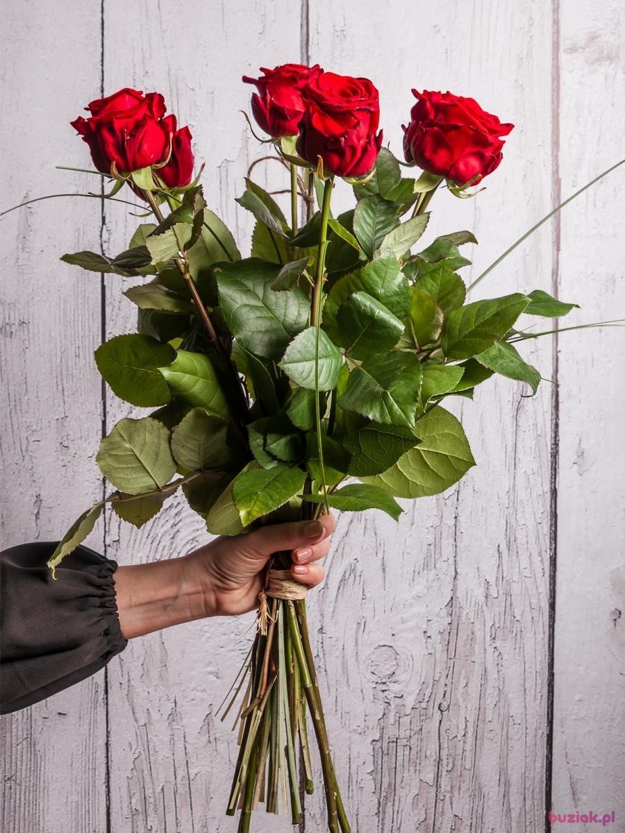 jurek, Mężczyzna, 62, Opole Lubelskie, Polska, Zdjęcie: 6