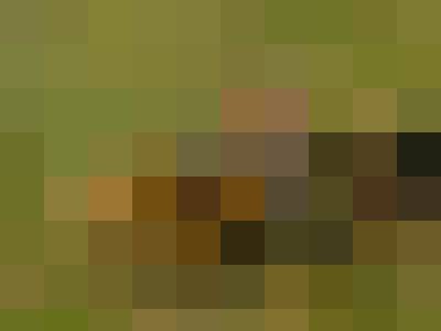 emu, Kobieta, 50, Łobez, Polska: 1