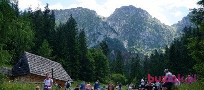 Małgosia, Kobieta, 43, Głogów, Polska, Zdjęcie: 18