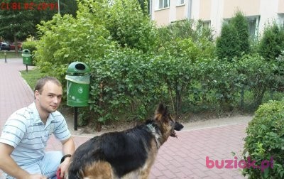 robert, Mężczyzna, 38, Warszawa, Polska, Zdjęcie: 1