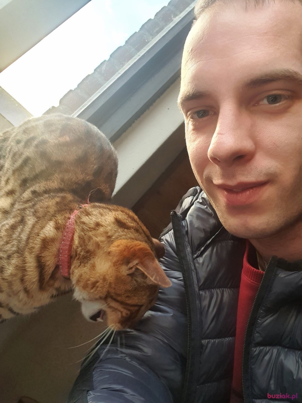 Ciastek, Mężczyzna, 32, Rotterdam South Holland Province, Holandia, Zdjęcie: 3