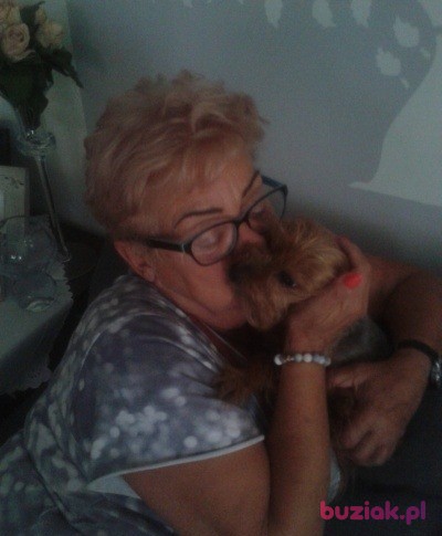Anna, Kobieta, 75, Warszawa, Polska, Zdjęcie: 2