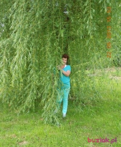 patrycja, Female, 70, Racibórz, Polska, Photo: 2