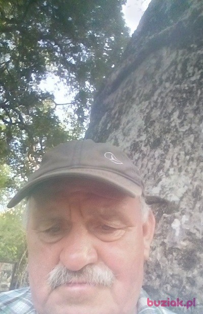 cygan1963, Mężczyzna, 62, Oborniki, Polska, Zdjęcie: 3