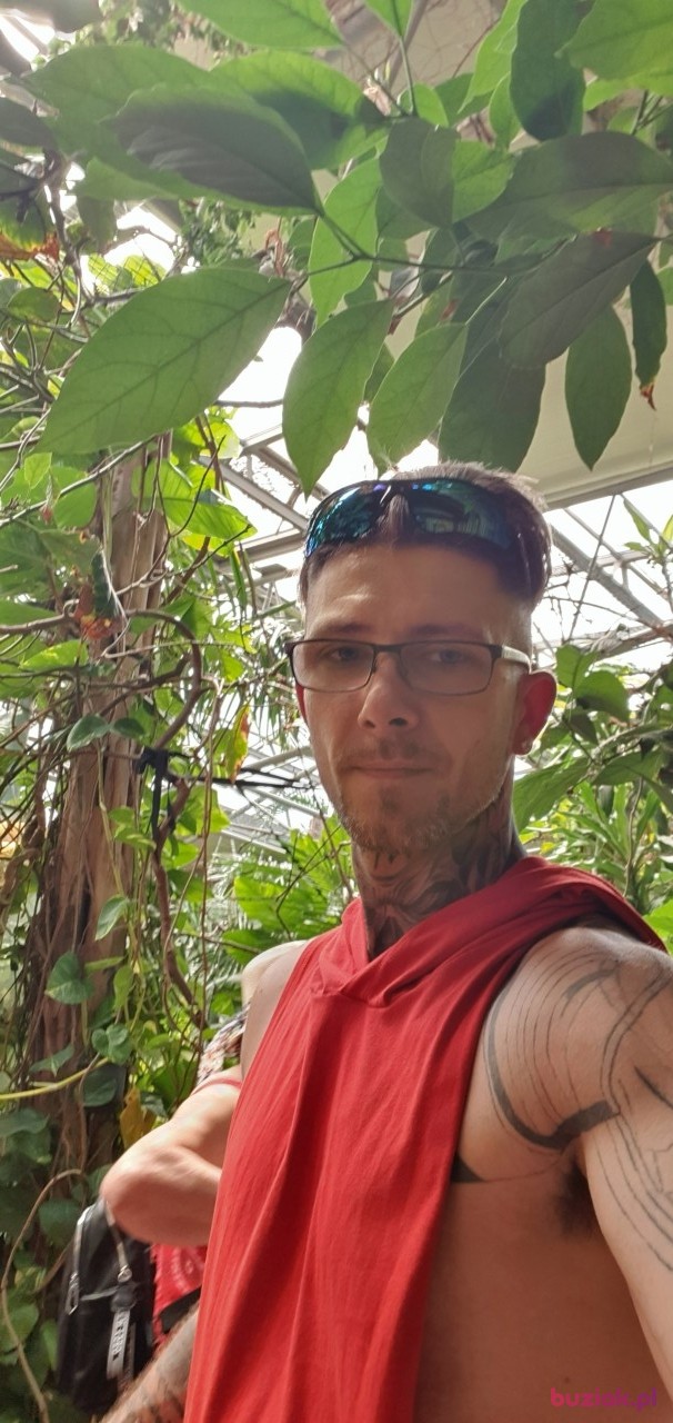 Christopher, Male, 35, Holandia, Photo: 1