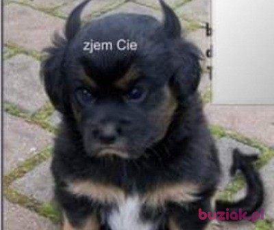 Damian, Male, 32, Wołomin, Polska, Photo: 10
