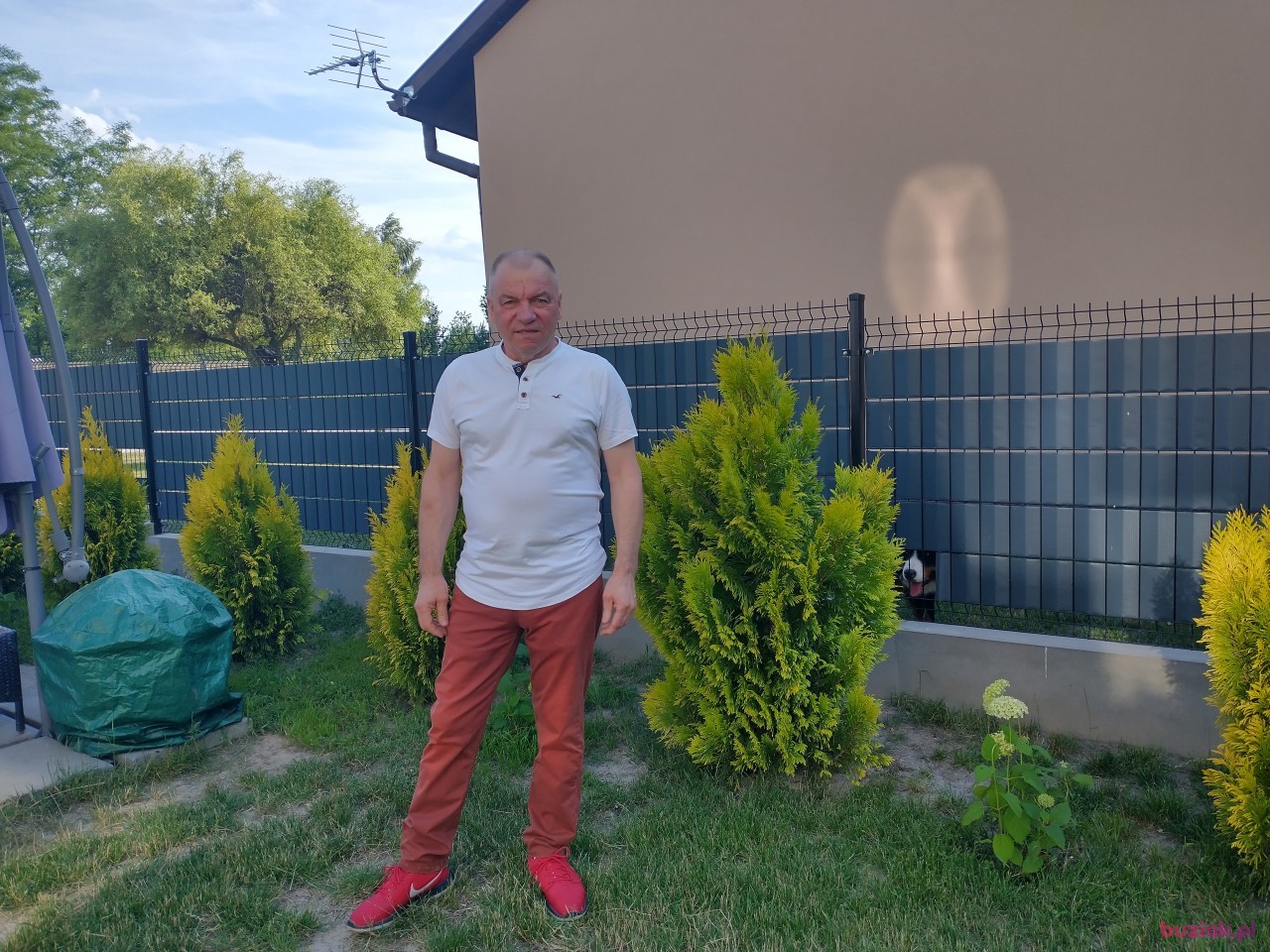 Stanisław, Male, 64, Tarnów, Polska, Photo: 1