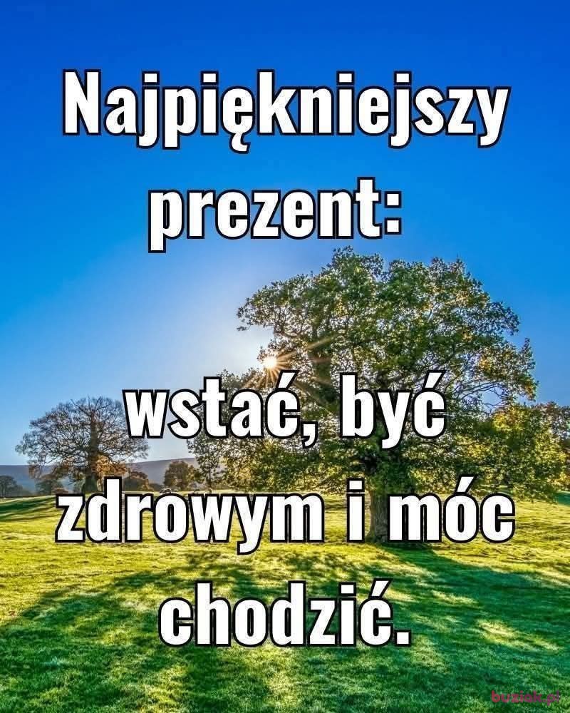 Halina, Kobieta, 76, Kołobrzeg, Polska, Zdjęcie: 3